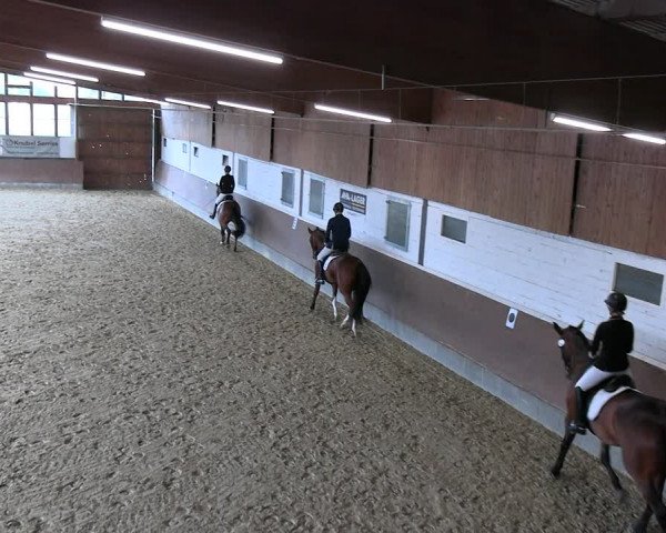 Reitturnier Everswinkel 2022
