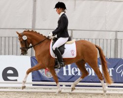 broodmare Celebration WE (German Riding Pony, 2009, from FS Cracker Jack)