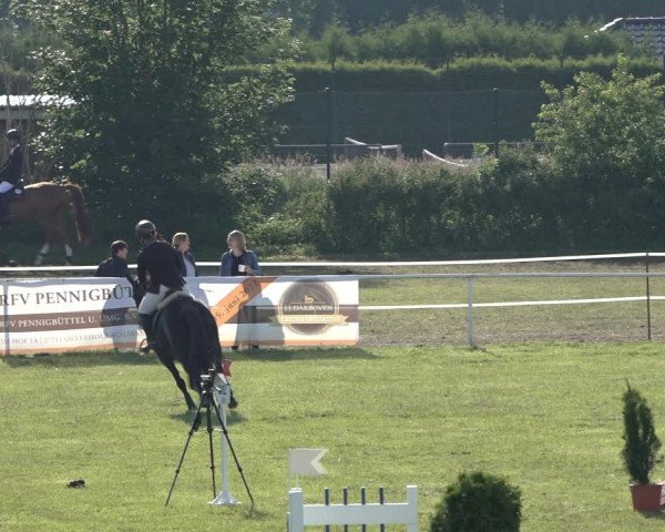 Reitturnier Pennigbüttel 2022