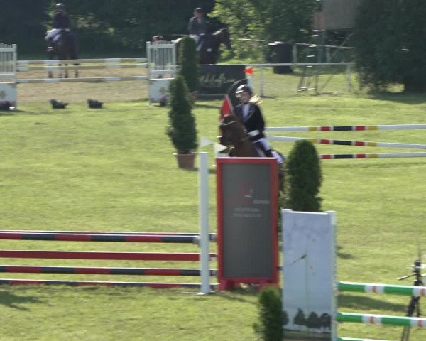 Reitturnier Pennigbüttel 2022