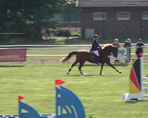 Reitturnier Pennigbüttel 2022