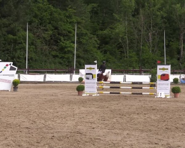 Reitturnier Frechen-Grefrath - Sonnenhof 2022