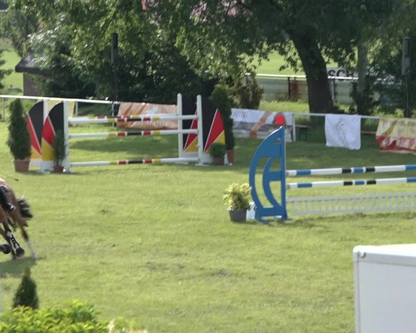 Reitturnier Pennigbüttel 2022