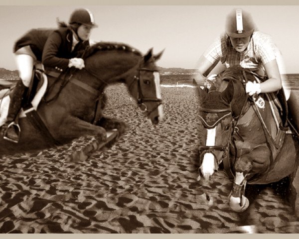 broodmare Lilian (Oldenburg, 1996, from Landsieger I)