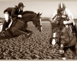 broodmare Lilian (Oldenburg, 1996, from Landsieger I)