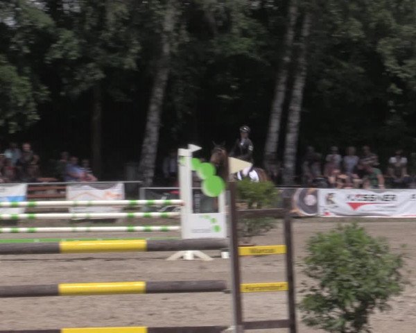 Reitturnier Lgl.-Oberhain, B95 2022