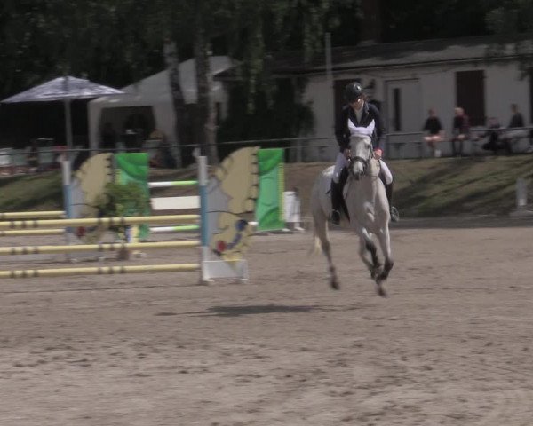 Reitturnier Lgl.-Oberhain, B95 2022