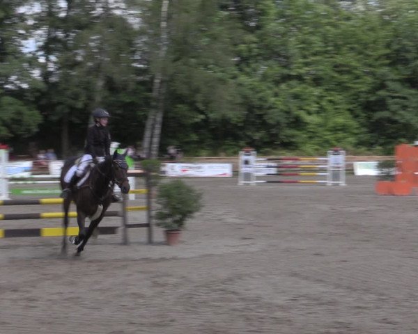 Reitturnier Lgl.-Oberhain, B95 2022