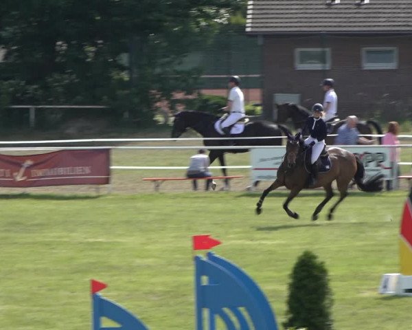 Reitturnier Pennigbüttel 2022