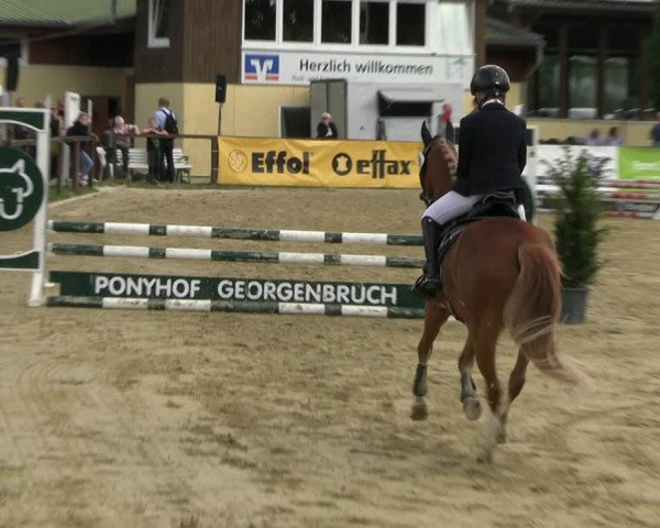Reitturnier Everswinkel 2022