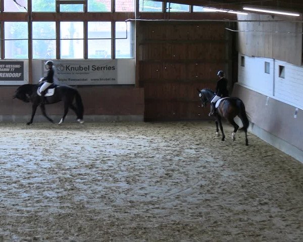 Reitturnier Everswinkel 2022