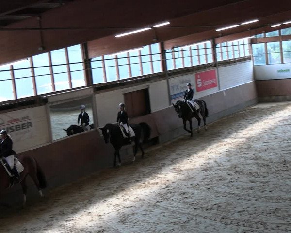 Reitturnier Everswinkel 2022