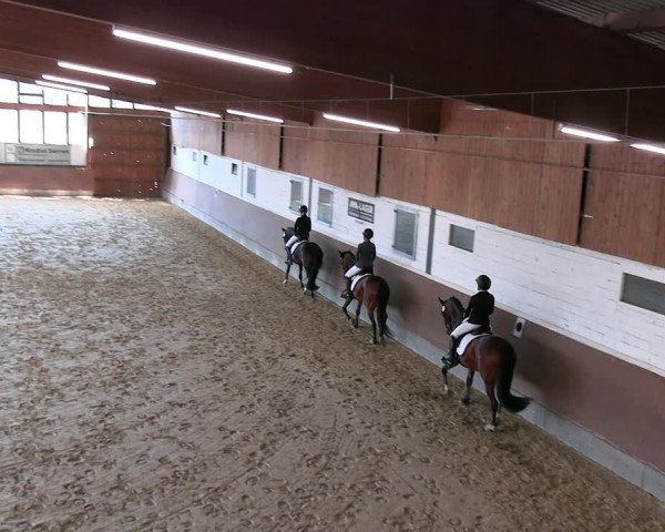 Reitturnier Everswinkel 2022