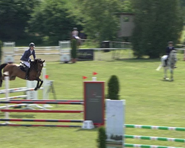 Reitturnier Pennigbüttel 2022