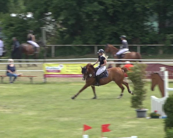 Reitturnier Pennigbüttel 2022