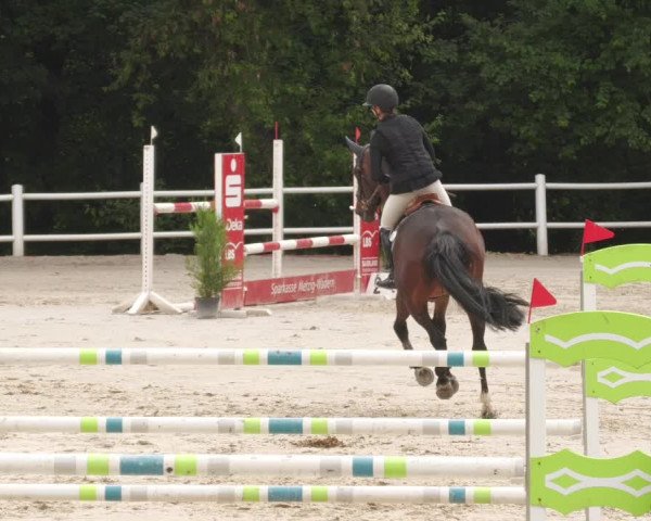 Reitturnier Losheim am See 2022
