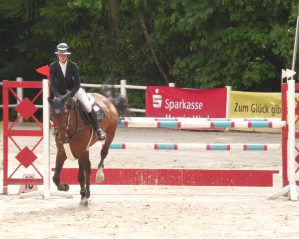 Reitturnier Losheim am See 2022