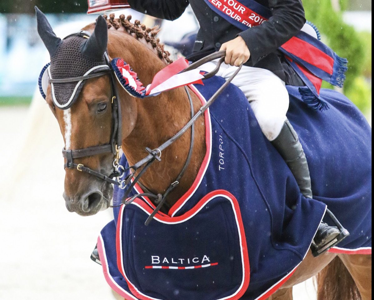 Springpferd Dior van Berkenbroek (Selle Français, 2009, von Diamant de Semilly)