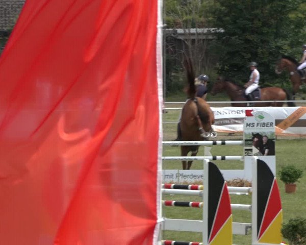 Reitturnier Pennigbüttel 2022