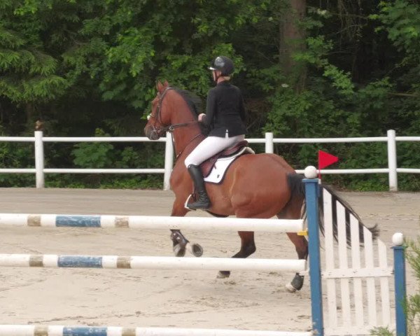 Reitturnier Losheim am See 2022