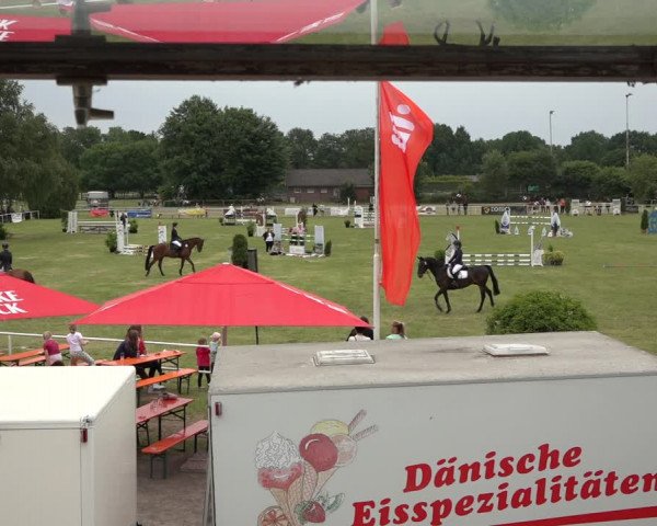 Reitturnier Pennigbüttel 2022