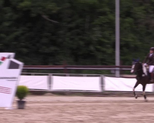 Reitturnier Frechen-Grefrath - Sonnenhof 2022