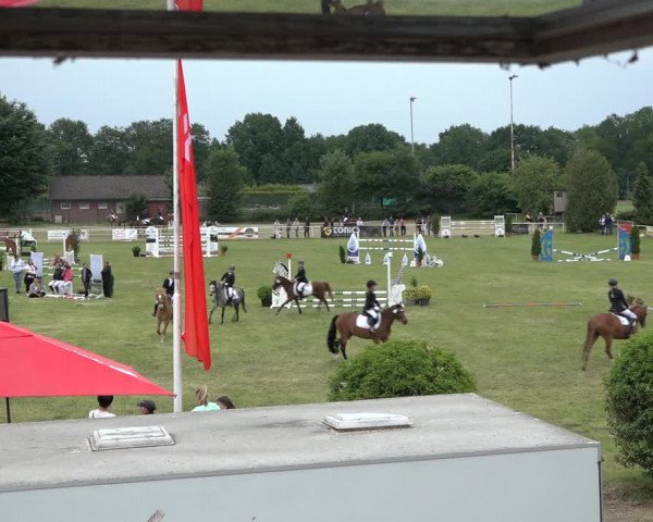 Reitturnier Pennigbüttel 2022