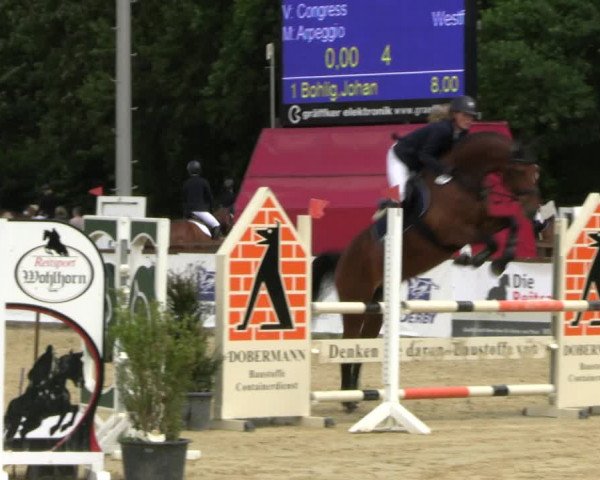 Reitturnier Everswinkel 2022