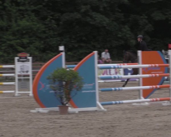Reitturnier Lgl.-Oberhain, B95 2022