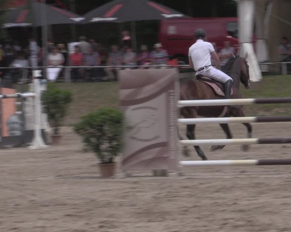 Reitturnier Lgl.-Oberhain, B95 2022