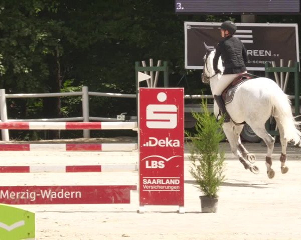 Reitturnier Losheim am See 2022