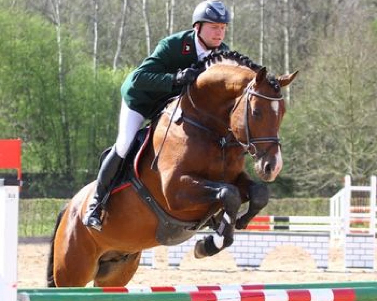 Deckhengst Palmares (Westfale, 2007, von Peking)