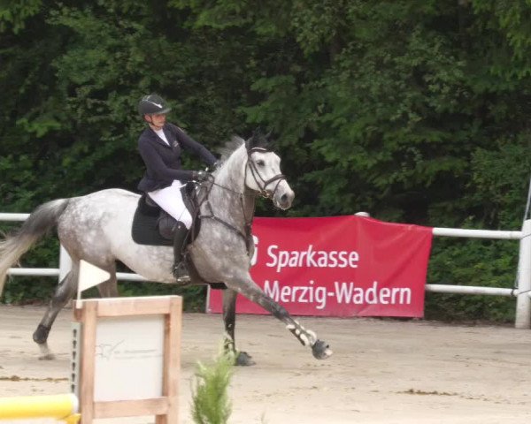 Reitturnier Losheim am See 2022