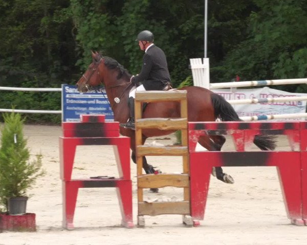 Reitturnier Losheim am See 2022