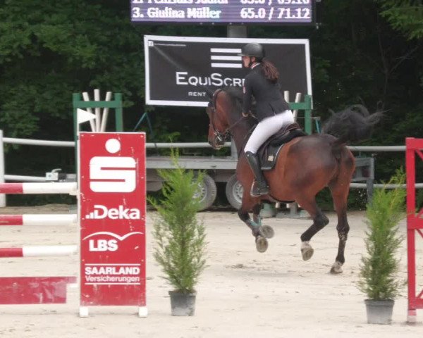 Reitturnier Losheim am See 2022