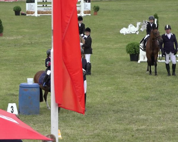 Reitturnier Pennigbüttel 2022