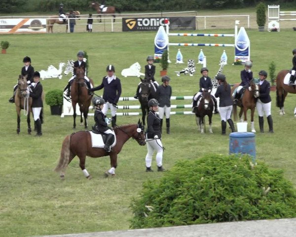 Reitturnier Pennigbüttel 2022