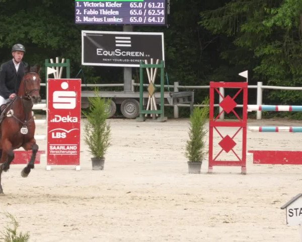 Reitturnier Losheim am See 2022