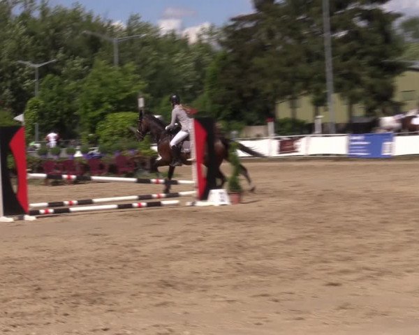 Reitturnier Frechen-Grefrath - Sonnenhof 2022