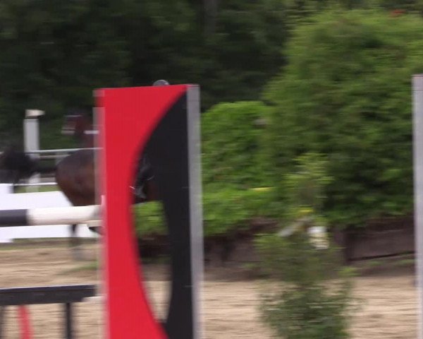 Reitturnier Frechen-Grefrath - Sonnenhof 2022