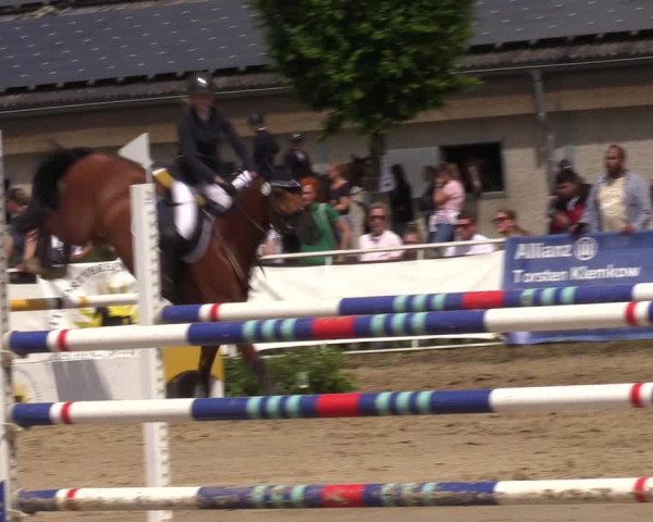 Reitturnier Frechen-Grefrath - Sonnenhof 2022