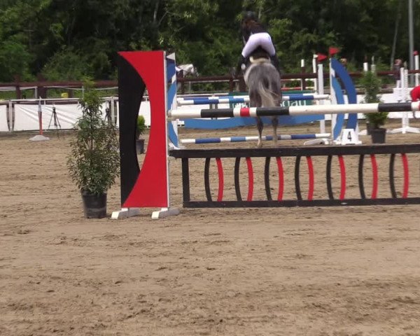 Reitturnier Frechen-Grefrath - Sonnenhof 2022
