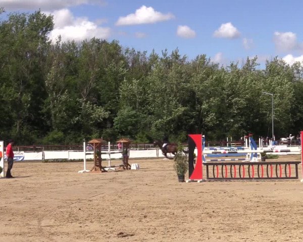 Reitturnier Frechen-Grefrath - Sonnenhof 2022