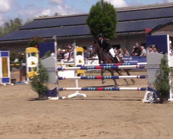 Reitturnier Frechen-Grefrath - Sonnenhof 2022
