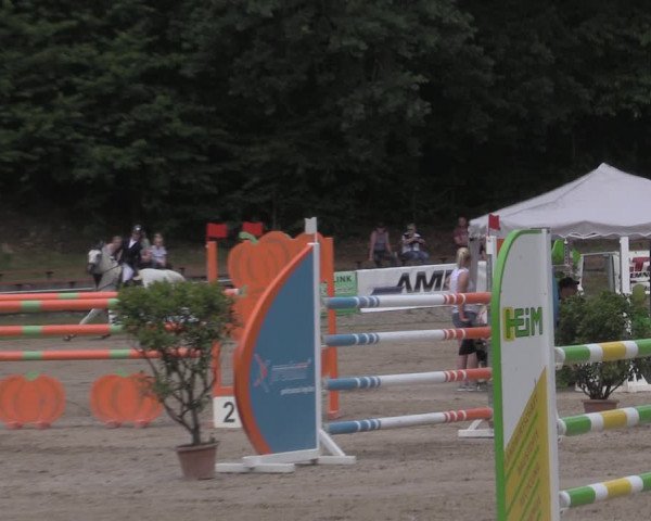 Reitturnier Lgl.-Oberhain, B95 2022