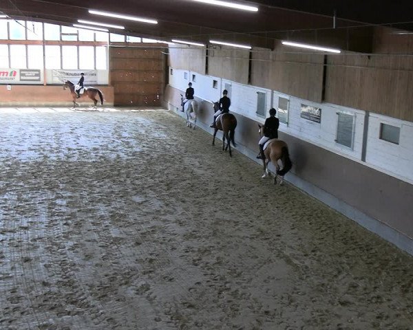Reitturnier Everswinkel 2022