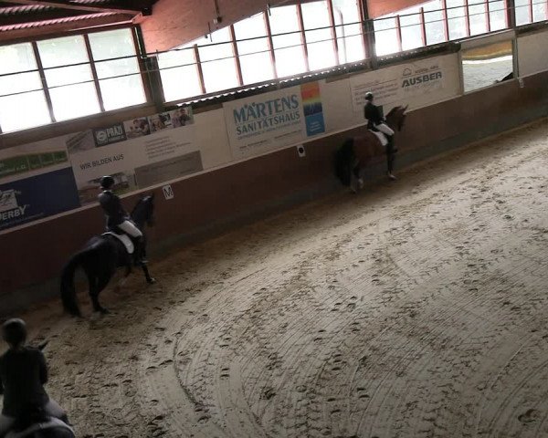 Reitturnier Everswinkel 2022
