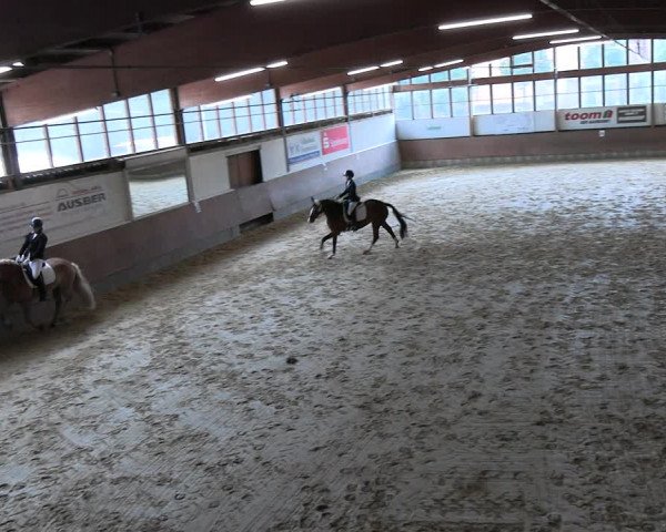 Reitturnier Everswinkel 2022