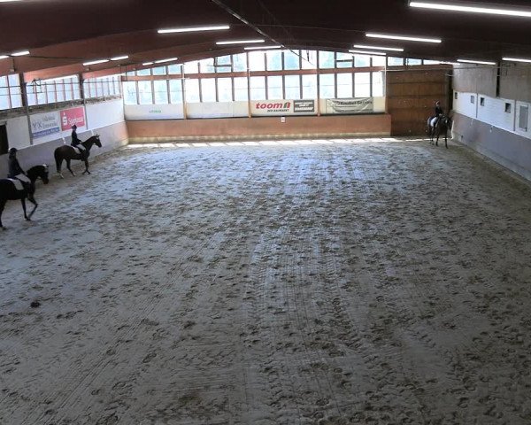 Reitturnier Everswinkel 2022