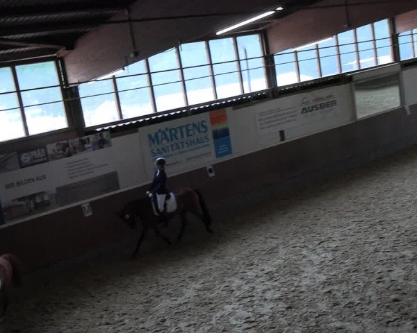 Reitturnier Everswinkel 2022